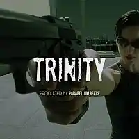 Picture for song 'Trinity' by artist 'Parabellum Beats'