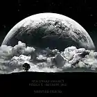 Picture for song 'Violator' by artist 'Spacewolf Project'