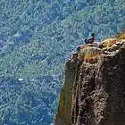 Picture for song 'On The Edge (FREE DL!!)' by artist 'TechRISE'