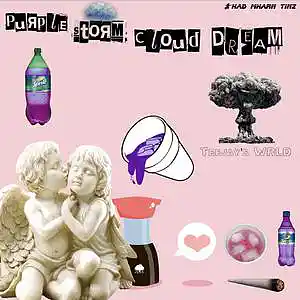 Picture for song 'Purple Storm Cloud Dream' by artist 'Teejays WRLD'