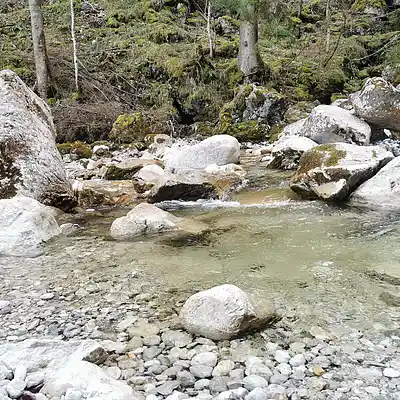 Picture for song '20250408_154106_FS_journeyToAllah_SWTmyFriend' by artist '786 scheint-Al'lahs Bande'