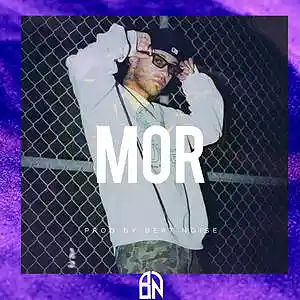 Picture for song 'MOR Feid x Sech x Mora Type beat Reggaeton 2022' by artist 'Beat Noise'