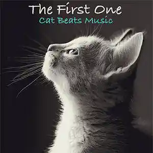 Picture for song 'The First One' by artist 'Cat Beats'
