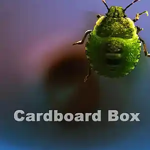 Picture for song 'Cardboard Box' by artist 'Garden of Heathen'