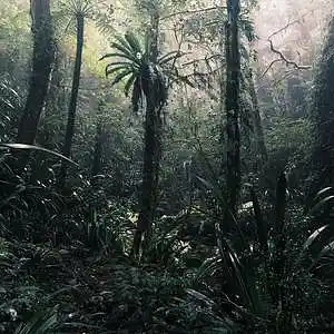 Picture for song 'Jurassic Park' by artist 'GROWN FOLK BEATS'