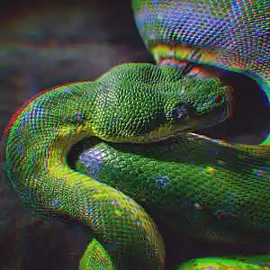 Picture for song 'Gunna x NAV Type Beat - 'YSL' (co-prod. BinoBeats)' by artist 'Ice Berg'