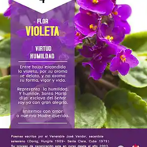 Picture for song 'Dia 4-Flor Violeta' by artist 'Producciones Vandor'