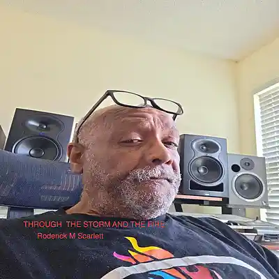 Picture for song 'THROUGH THE STORM THROUGH THE FIRE' by artist 'Roderick M Scarlett'