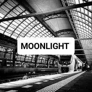 Picture for song 'MOONLIGHT' by artist 'SNOVBEATS'