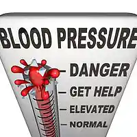Picture for song 'High Blood Pressure' by artist 'Sparxxx-Productions (CAN)'