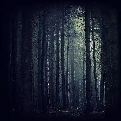 Picture for song 'Guardsman's Lament' by artist 'Tiger Williams'