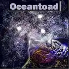 Picture for song 'Crazy Girl' by artist 'Toadhead Records'