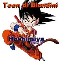 Picture for song 'Hoshimiya (Go!)' by artist 'Toon Di Blondini'
