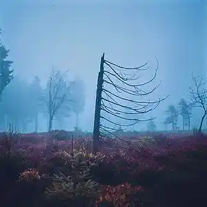 Picture for song 'vincestation - i don't know' by artist 'vincestation'