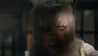 Picture for song 'I Am' by artist 'Wahi' and The Natives Have Spoken'