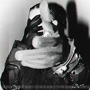 Picture for song 'Hunter (BUY 1 GET 4 FREE)' by artist 'Wendigo'