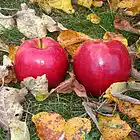 Picture for song 'Piros alma (Red Apple)' by artist 'Andrea Gerak'