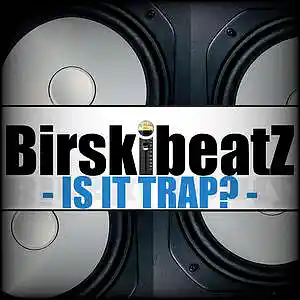 Picture for song 'IS IT TRAP? - (melodic trap beat)' by artist 'BirskibeatZ'