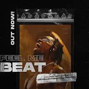 Picture for song 'Feel Me (Travis Scott Type Beat) Buy 1 Get 1 Free' by artist 'davothecreator'