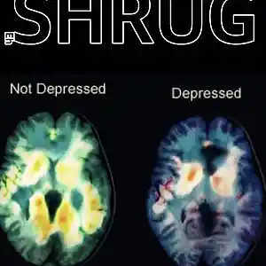Picture for song 'miserable mind LP Side B' by artist 'SHRUG (ohio)'