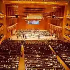 Picture for song 'Crashin' Through the Door' by artist 'The DJ Catastrophy'