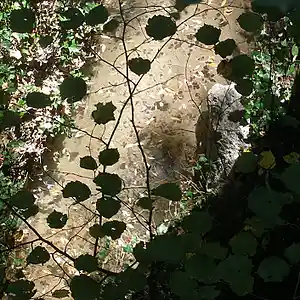 Picture for song 'Your Presence' by artist 'The Mighty Pablo'