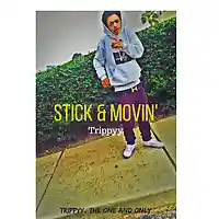 Picture for song 'Stick & Movin' by artist 'CosaNostraTrippyy'
