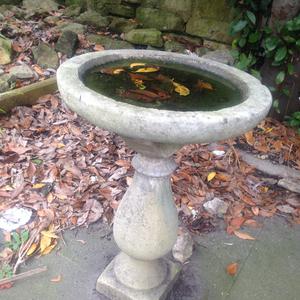 Picture for song 'Mordred's Backhander In The Marsh' by artist 'FEARLESS HATEFUL SCHOLAR'