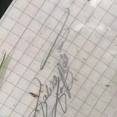 Picture for song '20250603_152713_FS_lebe_noch' by artist '786 scheint-Al'lahs Bande'