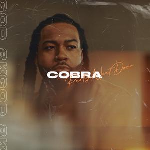 Picture for song 'Cobra (BUY 1 GET 1 FREE)' by artist '8kgod'