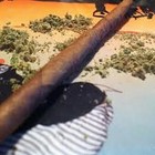 Picture for song 'I got that loud.' by artist 'Akcent Dior Beatz.'