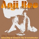 Picture for song 'Put Some Music On (Intensity of Sound Retro Mix)' by artist 'Anji Bee'