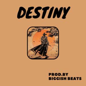 Picture for song 'Destiny ( Drill / Hip Hop / Epic ) - 142 bpm' by artist 'Biggish Beats'