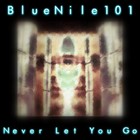 Picture for song 'Never Let You Go...' by artist 'BlueNile101'