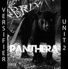 Picture for song 'PANTHERA MIXTAPE SNIPPET' by artist 'BrixMusic'
