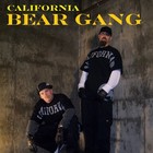 Picture for song 'Tear You Down' by artist 'CALIFORNIA BEAR GANG'