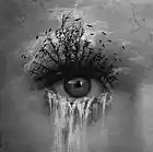 Picture for song 'Wait and See' by artist 'CHRIS HATLEY'