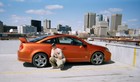 Picture for song 'STAY DOWN - LIL DRASTIC' by artist 'CHRONICLY CHALLENGED RECORDS'
