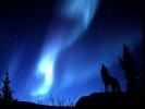 Picture for song 'Aurora' by artist 'clive richardson'