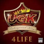 Picture for song 'The Underground King' by artist 'Cra-z Boi Productions'