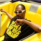 Picture for song 'cadillac muzik,.MP3 TAGLESS LEASE $19.95' by artist 'db koopa'