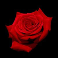 Picture for song 'DJ Luck - I Hope You Know' by artist 'DJ Luck94'
