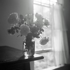 Picture for song 'My Love (LiL Vick WiCked TooNz)' by artist 'DrugzOnTheTrack'