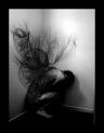 Picture for song 'Maybe One Day - D. Tymz' by artist 'DTymz'