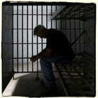 Picture for song ''Criminal Minded' -FREE DL-' by artist 'edpryorbeatz'
