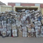 Picture for song 'Free DL!!Elbowz (Trap sh** !!!!)' by artist 'EZ Money Beatz'