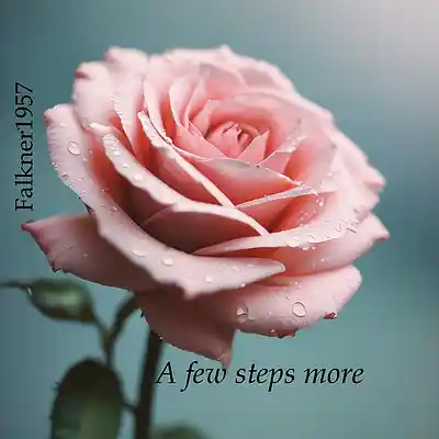 Picture for song 'a few steps more (Remastered)' by artist 'Falkner1957'