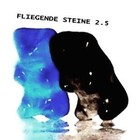 Picture for song '2.5' by artist 'FLIEGENDE STEINE'