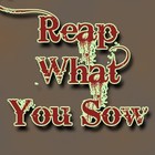 Picture for song 'Reap What You Sow' by artist 'Goku'