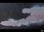 Picture for song 'GulfofGlurp' by artist 'Greg Hurley'